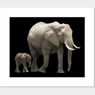 Elephant-Mama with Elephant-Baby - Elephant - Africa Posters and Art